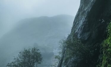 rain-forest-mountain