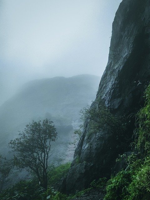 rain-forest-mountain