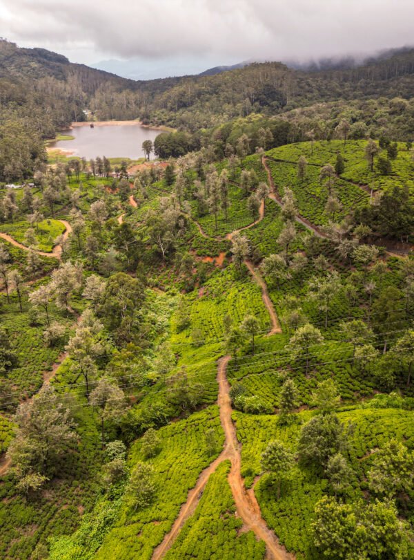 Central highlands Sri Lanka Nuwara Eliya
