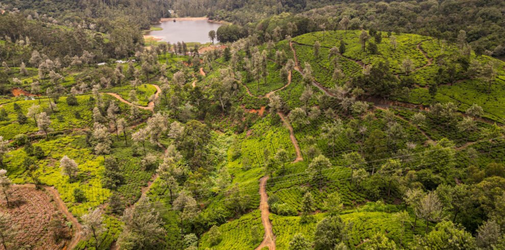 Central highlands Sri Lanka Nuwara Eliya