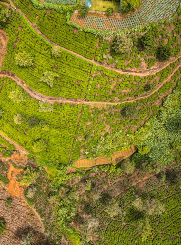 Most iconic Sri Lanka hill country