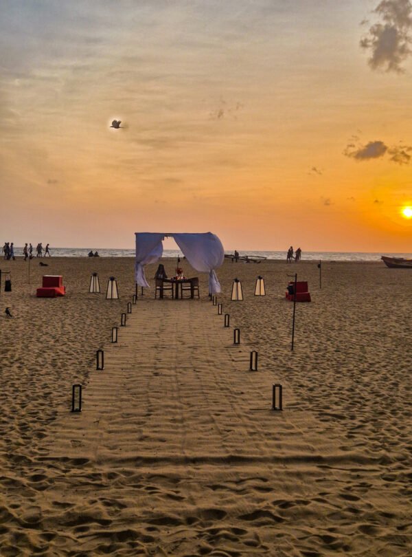 Eco friendly travel & tourism Sri Lanka