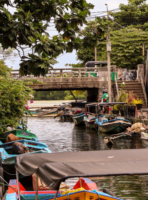 Hamilton lake Negombo