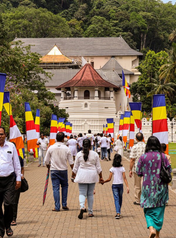 Kandy city tours with Scared tooth relic